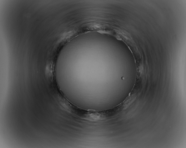 X0000088490423200705221431