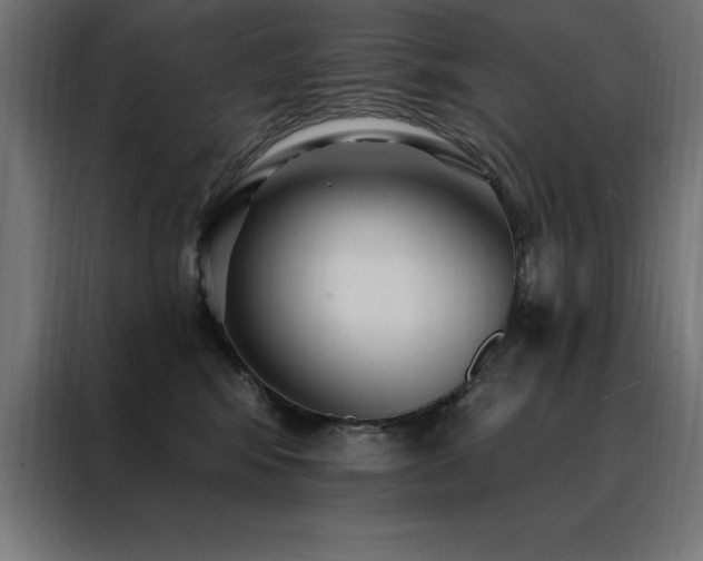 X0000088490424200705221431