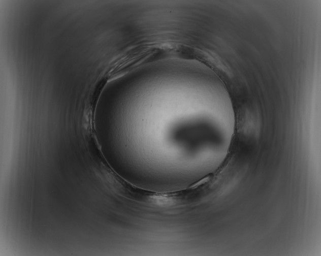 X0000088490425200705221431
