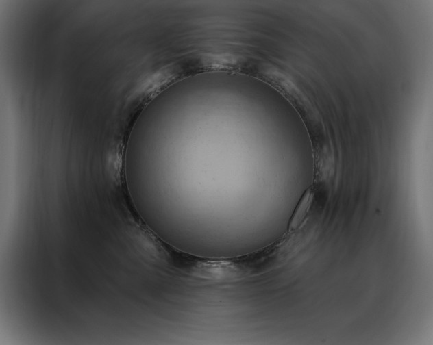X0000088490427200705221431