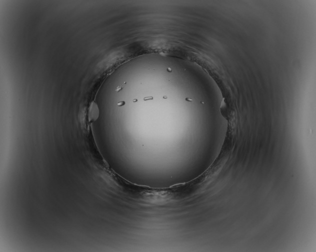 X0000088490428200705221431