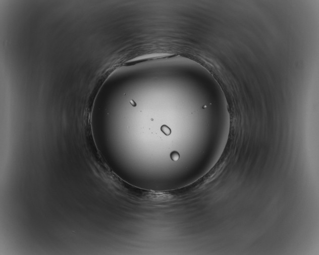 X0000088490429200705221431