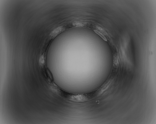 X0000088490431200705221431