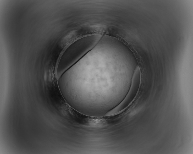 X0000088490432200705221431
