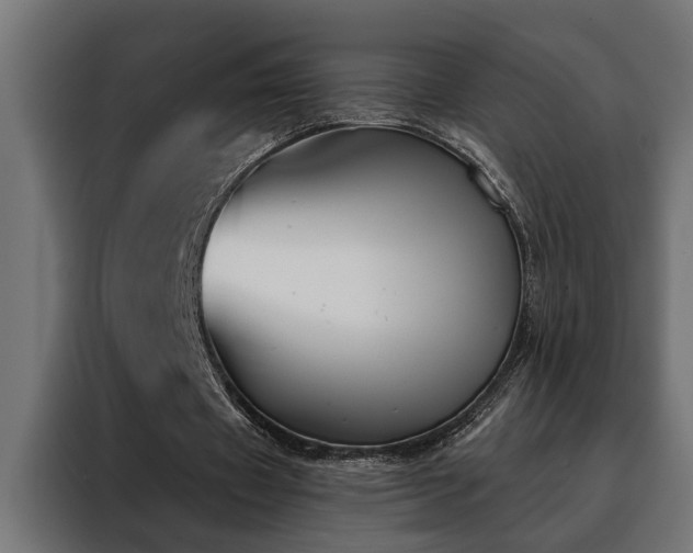 X0000088490433200705221430