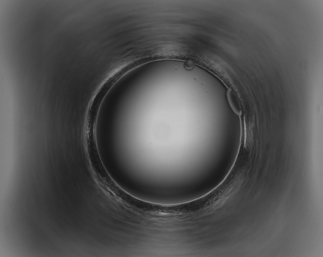X0000088490435200705221430