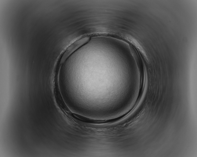 X0000088490436200705221430