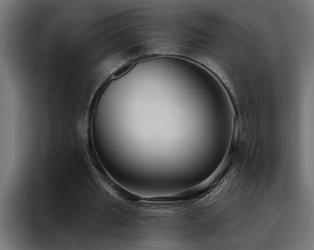 X0000088490437200705221430