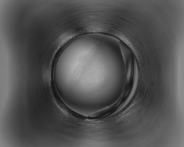 X0000088490438200705221430