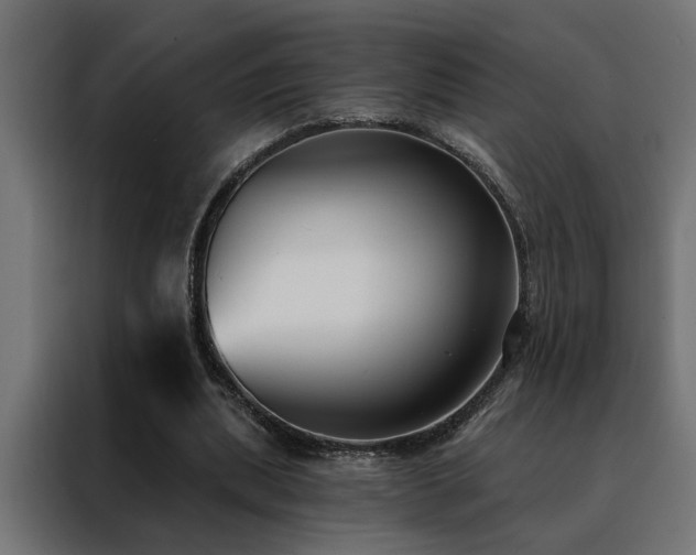 X0000088490439200705221430