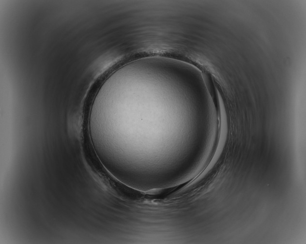 X0000088490440200705221430