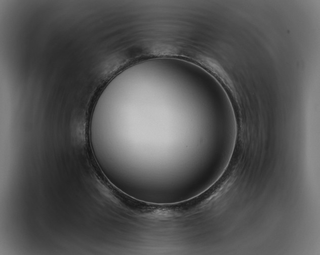 X0000088490441200705221430