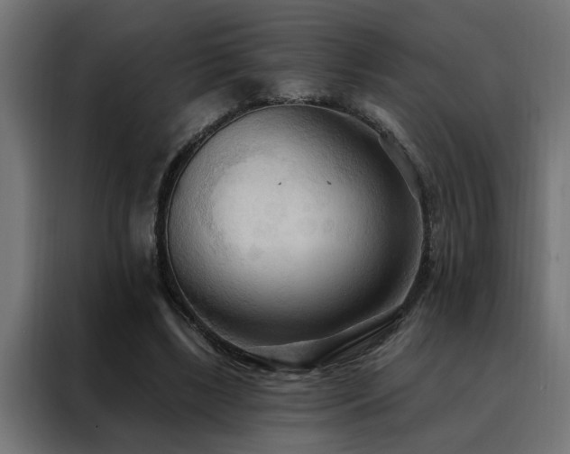 X0000088490443200705221430