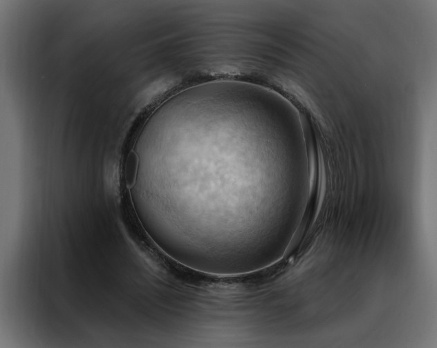 X0000088490444200705221430