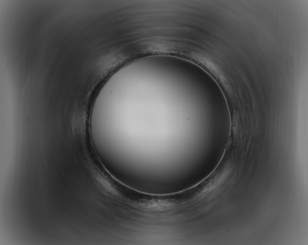 X0000088490445200705221430