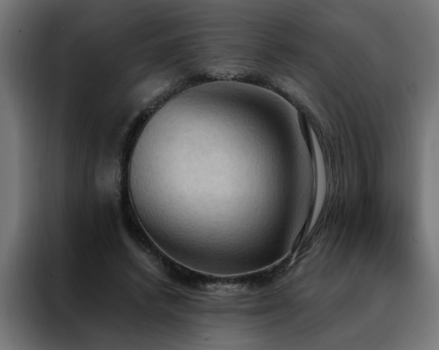 X0000088490448200705221430