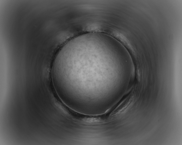 X0000088490449200705221430