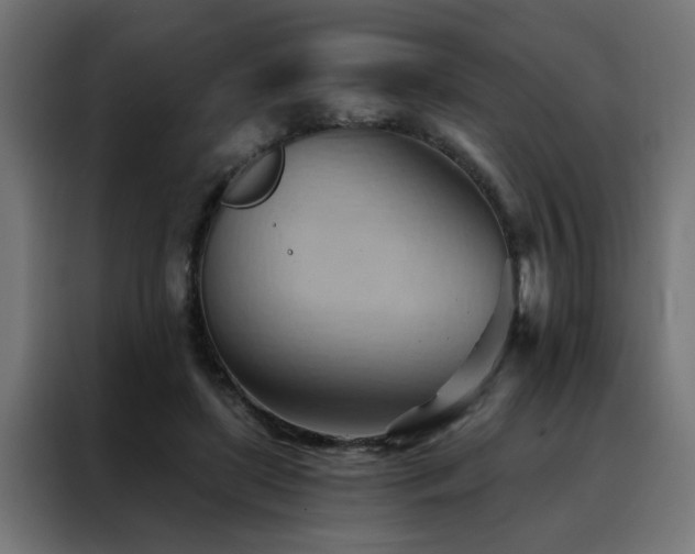 X0000088490451200705221430