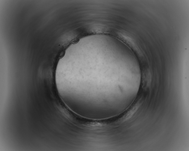 X0000088490453200705221430