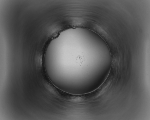 X0000088490454200705221430
