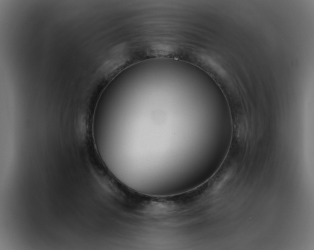 X0000088490455200705221430