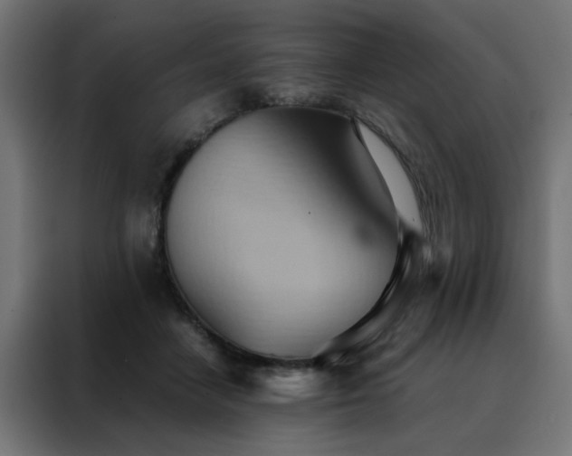 X0000088490458200705221430