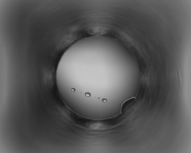 X0000088490460200705221430