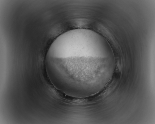 X0000088490461200705221430