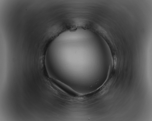 X0000088490462200705221430