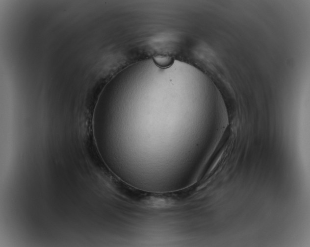 X0000088490464200705221430