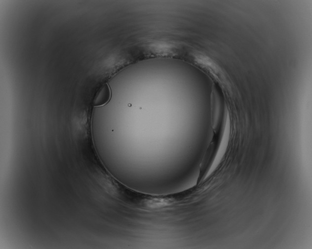X0000088490465200705221430