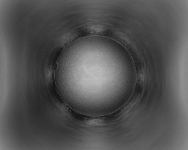 X0000088490468200705221430