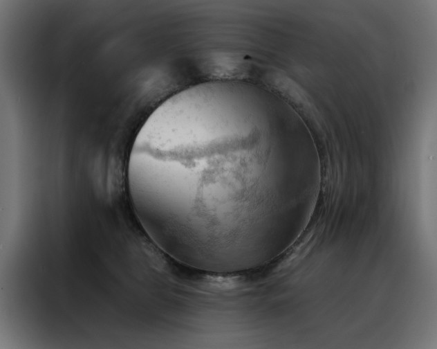 X0000088490469200705221430