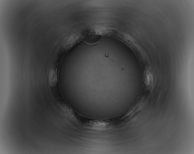 X0000088490471200705221431