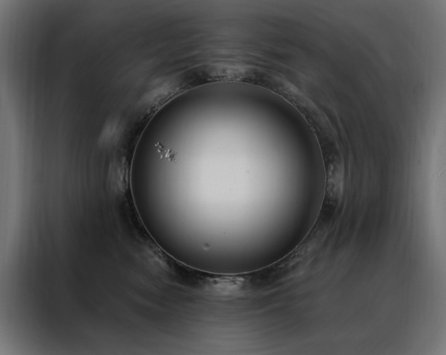 X0000088490474200705221431