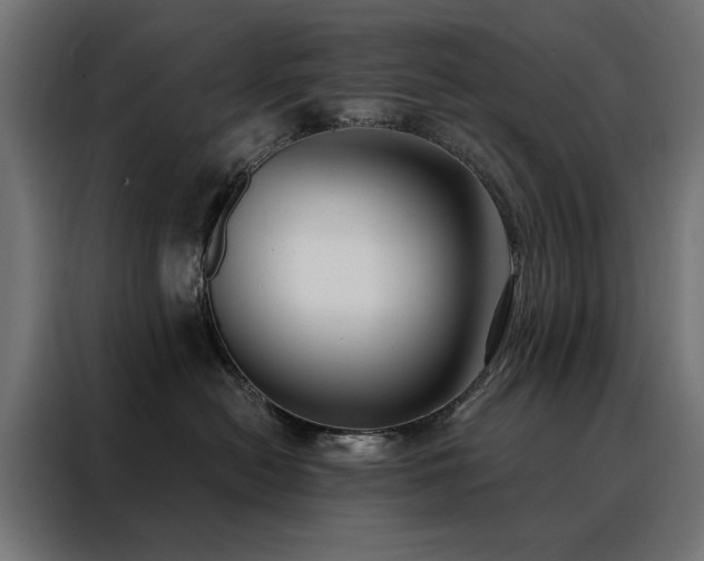 X0000088490478200705221431