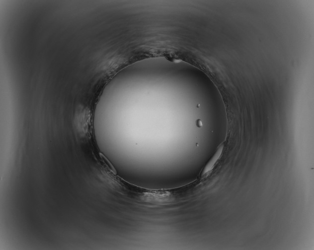 X0000088490480200705221431