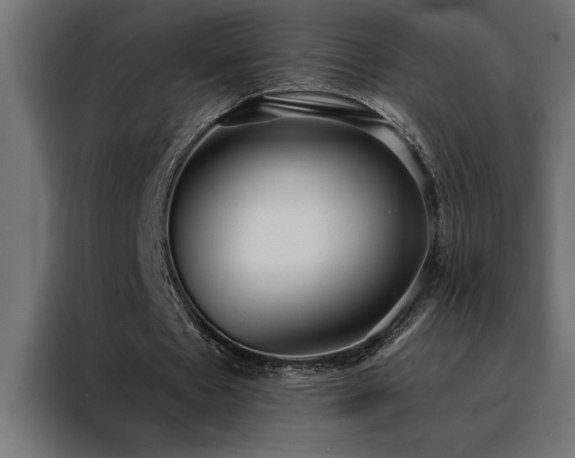 X0000088490481200705221430