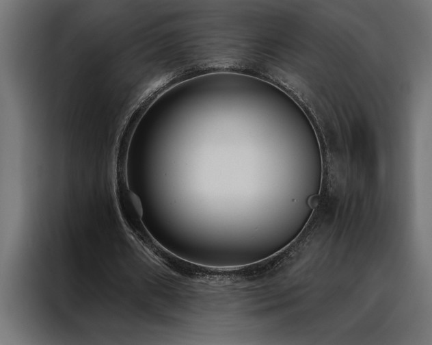X0000088490482200705221430