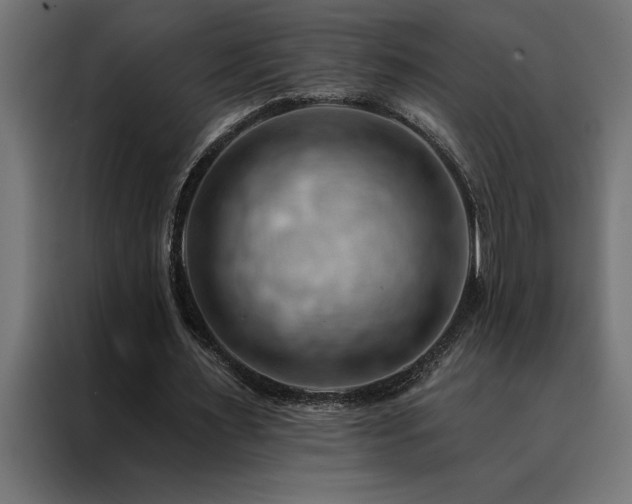 X0000088490483200705221430
