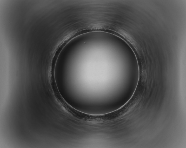 X0000088490485200705221430