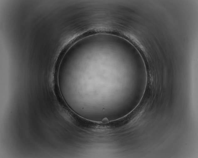 X0000088490487200705221430