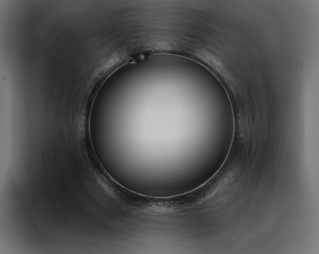 X0000088490489200705221430