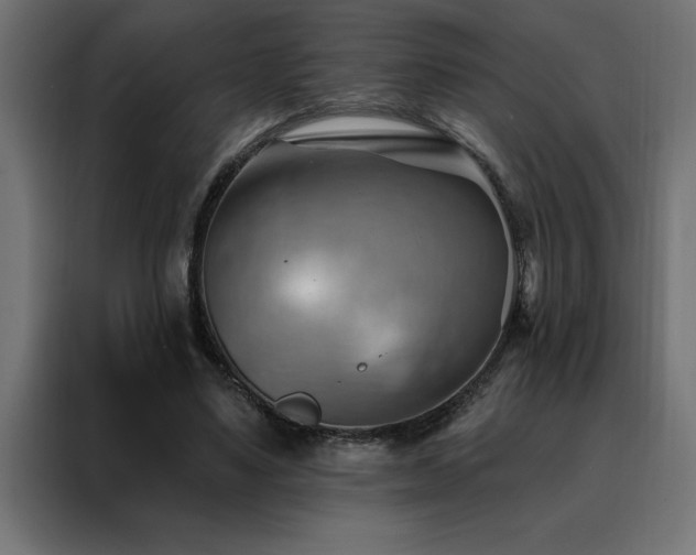 X0000088490491200705221430