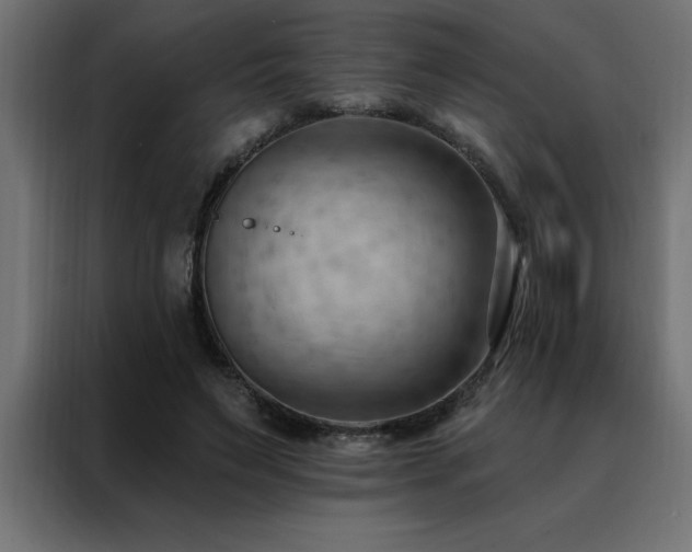 X0000088490495200705221430