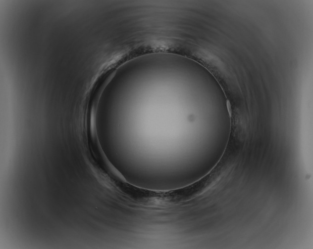 X0000088490496200705221430