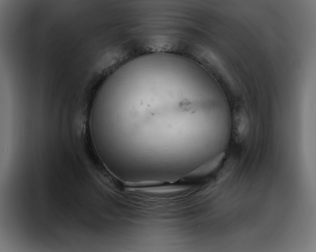 X0000088490499200705221430