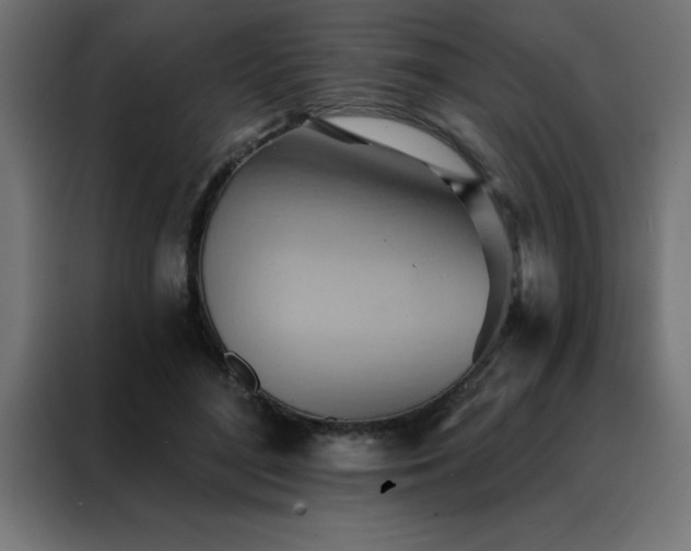 X0000088490500200705221430
