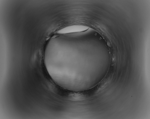 X0000088490503200705221430