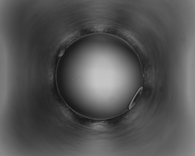 X0000088490505200705221430